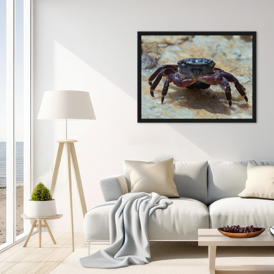 Framed Canvas: Between Bubbles
