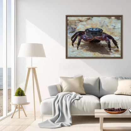 Framed Canvas: Between Bubbles