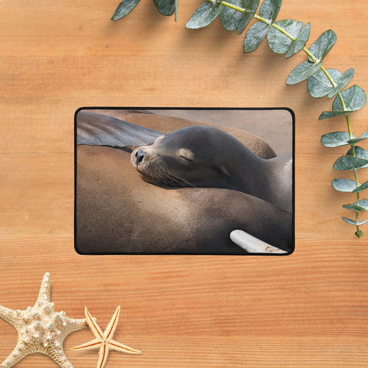 Desk Mat: Coastal Cuddle